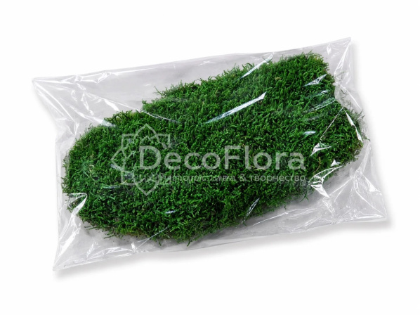 Мох стабилизированный плоский 30*13см лесной